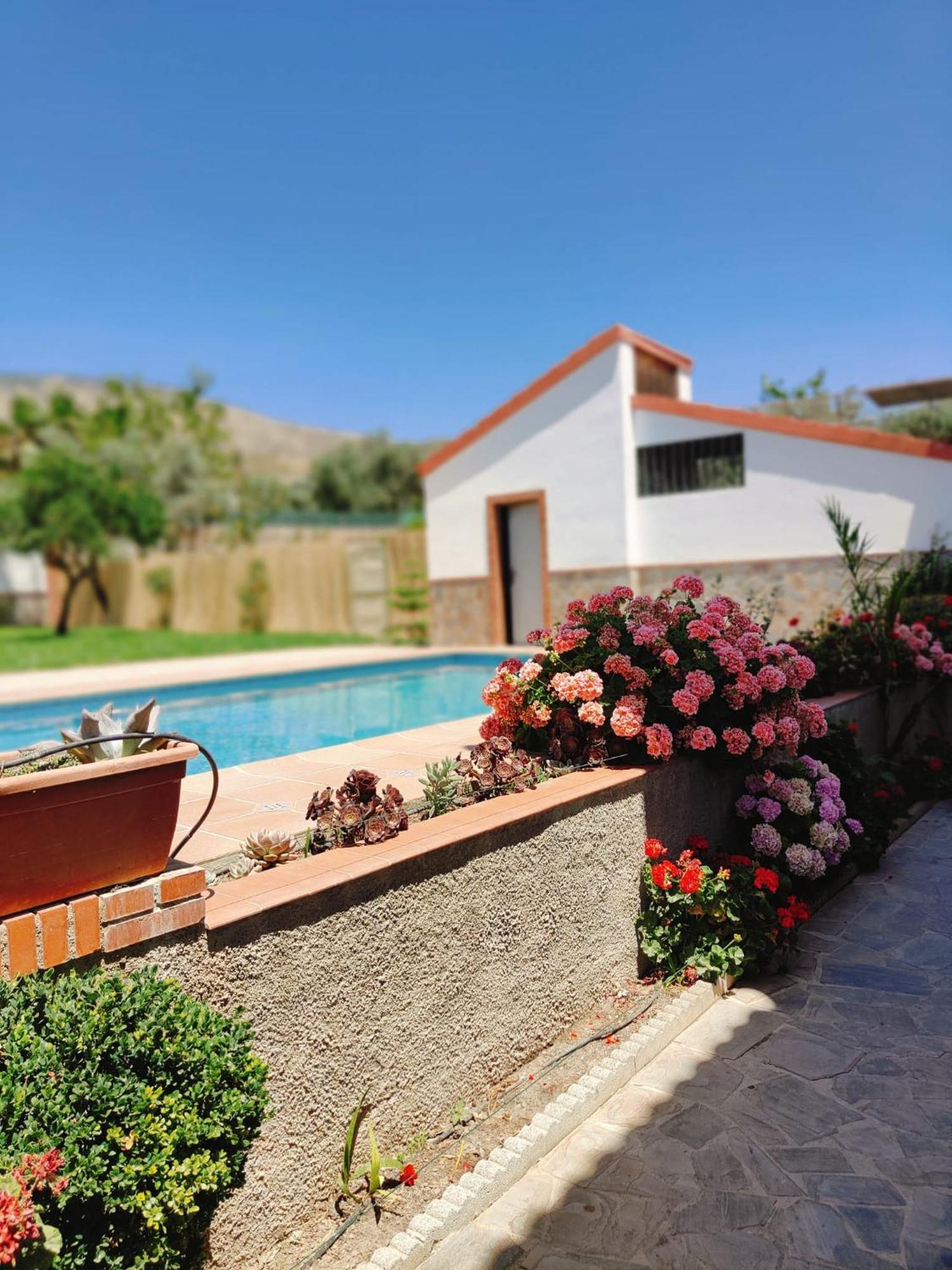 Casa Rural Las Cuatro Flores Orgiva Eksteriør bilde